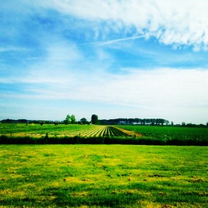 Groede, Zélande