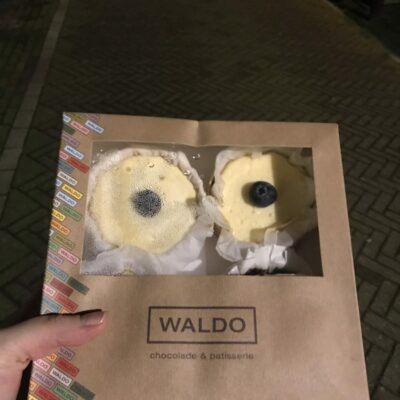 Too good to go : l’app qui lutte contre le gaspillage alimentaire