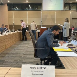 Le vote par internet au cœur de l’actualité des Français de l’étranger