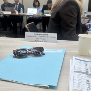 TGN : Test Grandeur Nature du vote par internet- 2nd test réussi